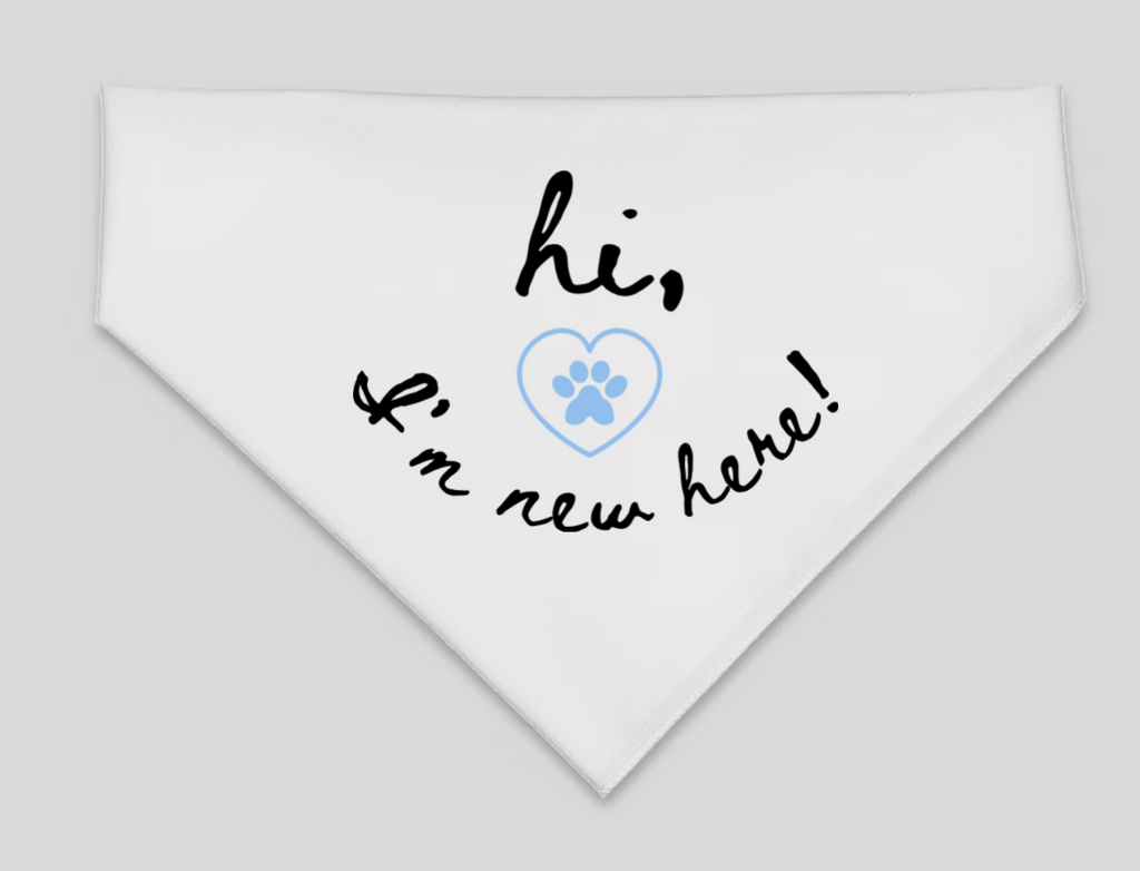 "Hi, I'm New Here" Pet Bandana
