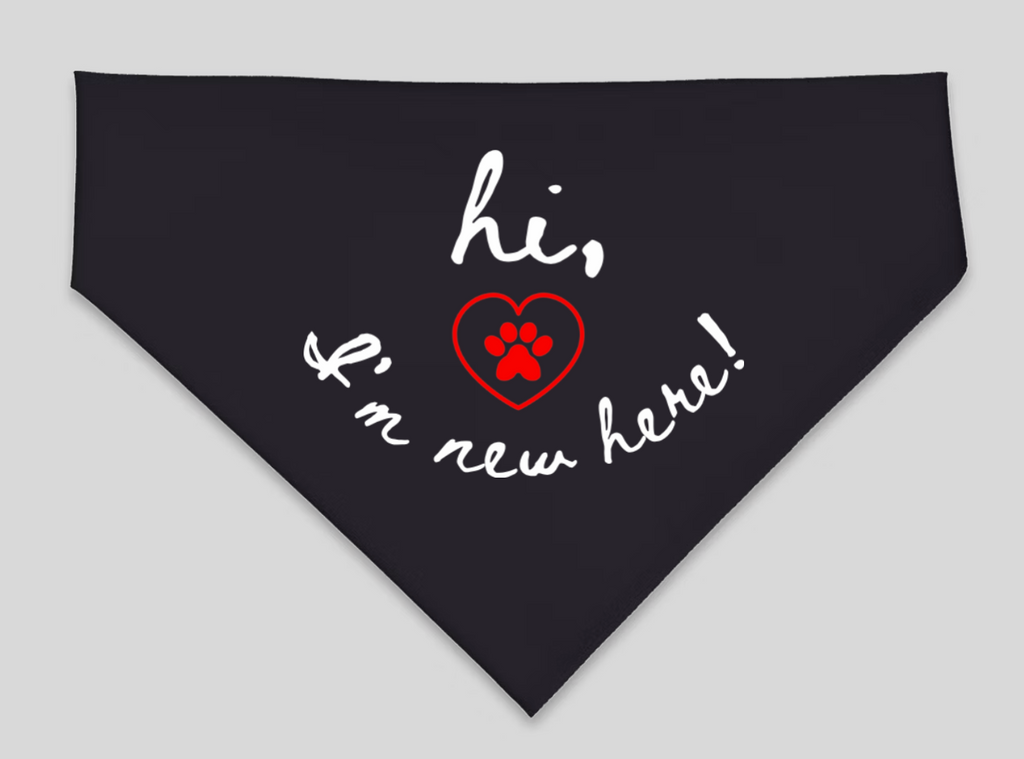 "Hi, I'm New Here" Pet Bandana